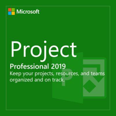 Microsoft Project 2019 Professional