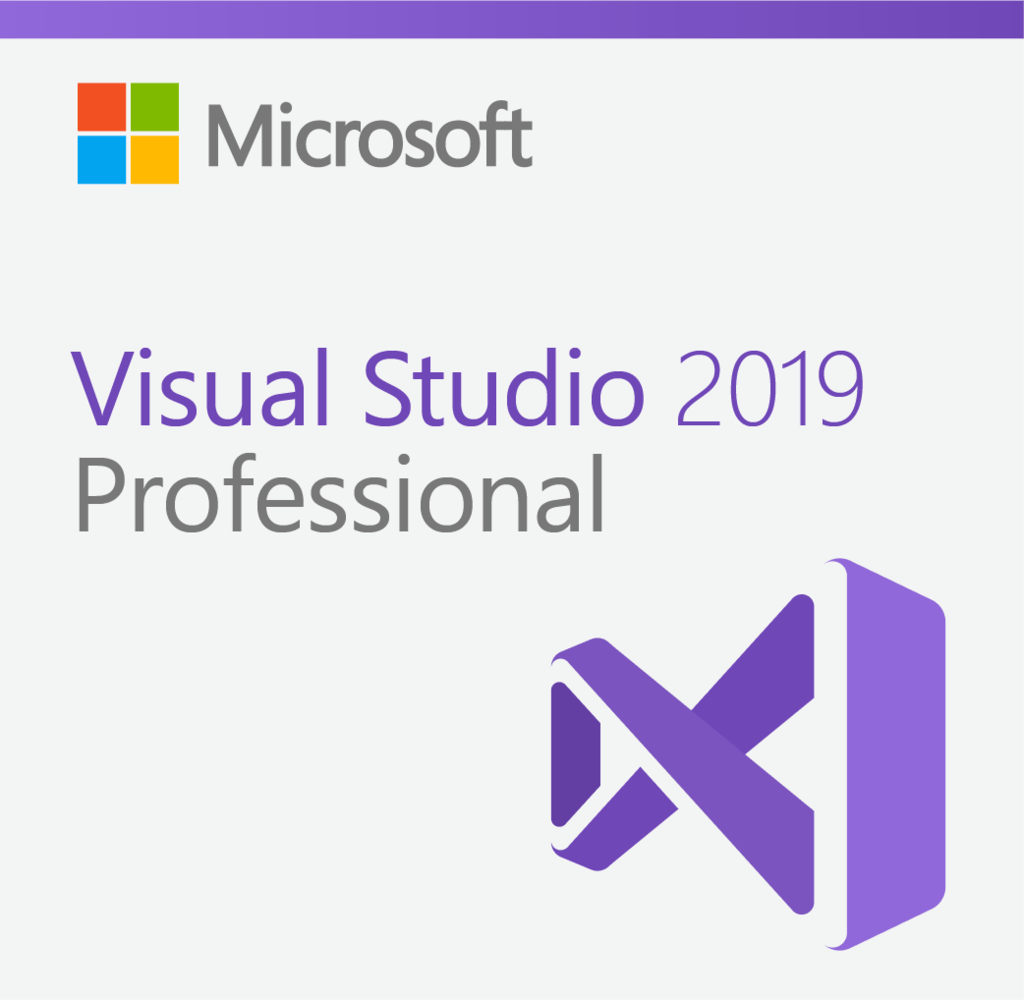 Visual Studio 2019 Professional